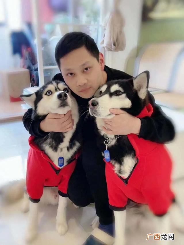 云养狗 云养猫狗