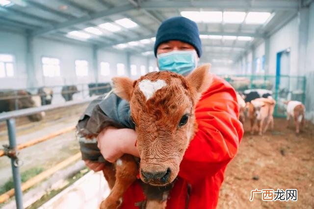 2020年养殖业新政策 农村养殖业致富项目