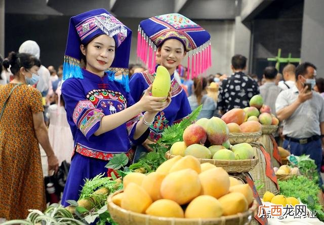 百色芒果营销活动 百色芒果创业计划书