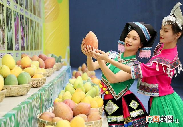 百色芒果营销活动 百色芒果创业计划书