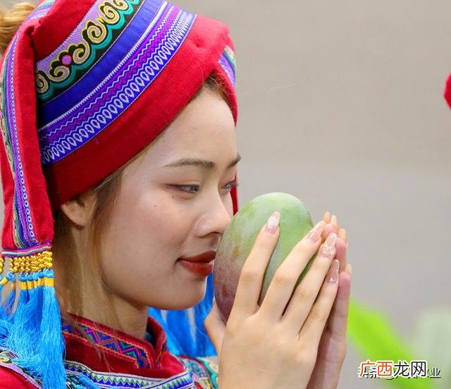 百色芒果营销活动 百色芒果创业计划书