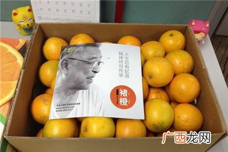 八十岁创业成功老人 出狱后创业种脐橙