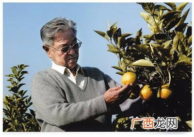 八十岁创业成功老人 出狱后创业种脐橙