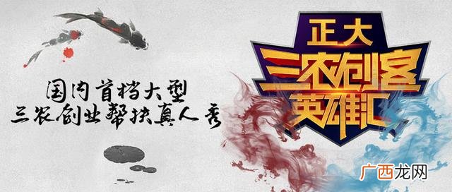 央视财经评论 三农创业英雄汇