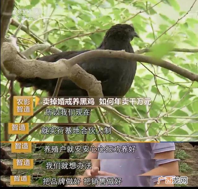 央视财经评论 三农创业英雄汇