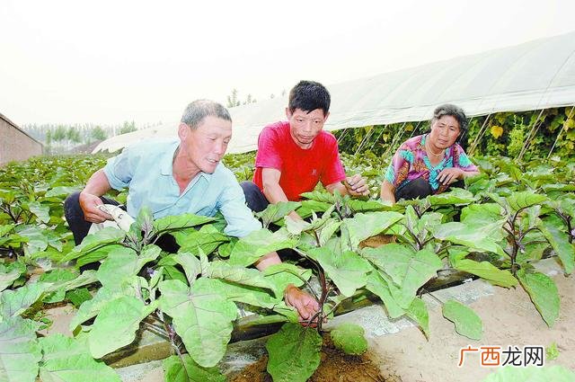 村民小组长有什么权力,村民组长创业承诺