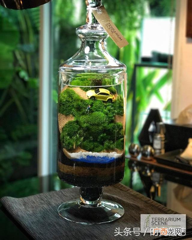 微景观加盟,微景观创业
