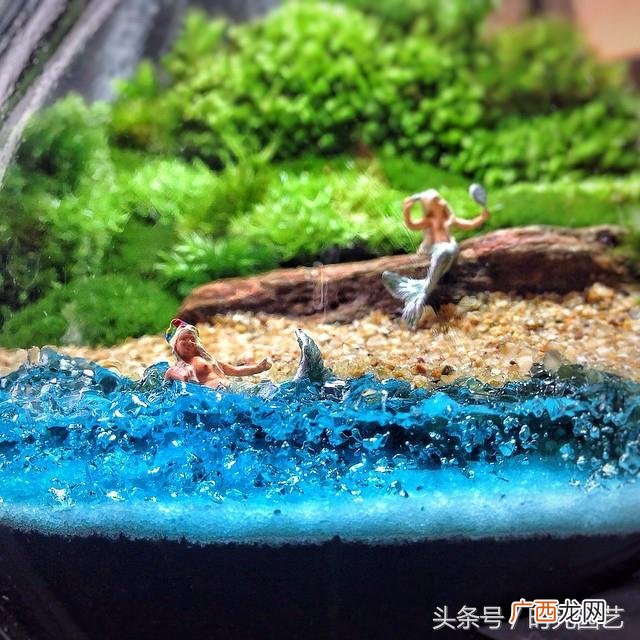 微景观加盟,微景观创业