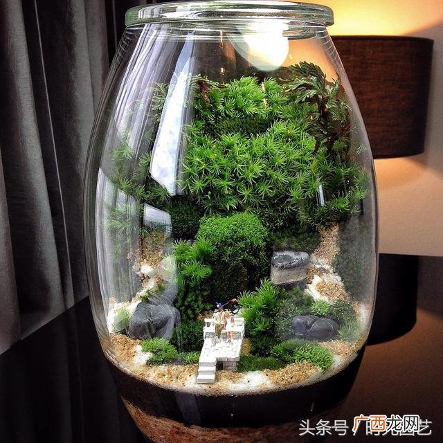 微景观加盟,微景观创业