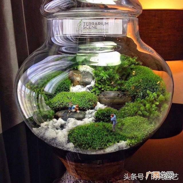 微景观加盟,微景观创业