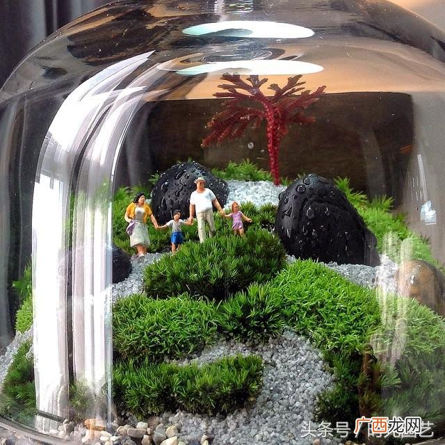 微景观加盟,微景观创业