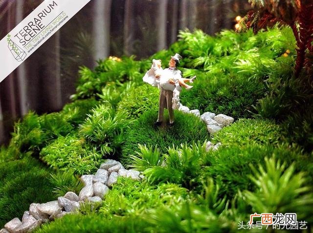 微景观加盟,微景观创业
