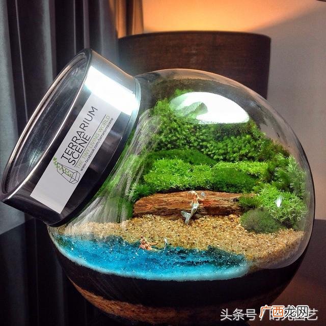 微景观加盟,微景观创业