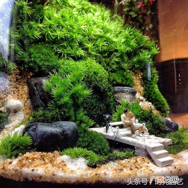 微景观加盟,微景观创业