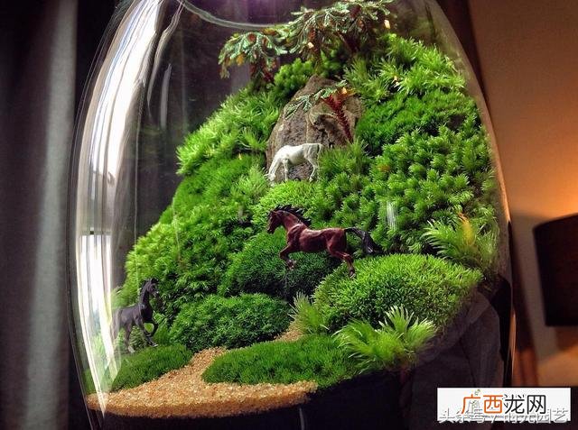 微景观加盟,微景观创业