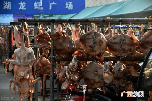 无本钱创业22种方法,目前最有前景的种植业