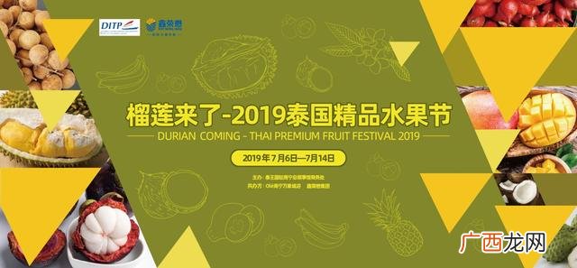 榴莲释迦果苗,释迦果苗哪里有卖