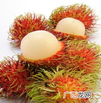 榴莲释迦果苗,释迦果苗哪里有卖