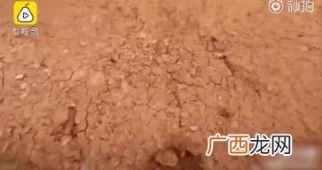 无聊的大飞是哪里人,聊的大飞