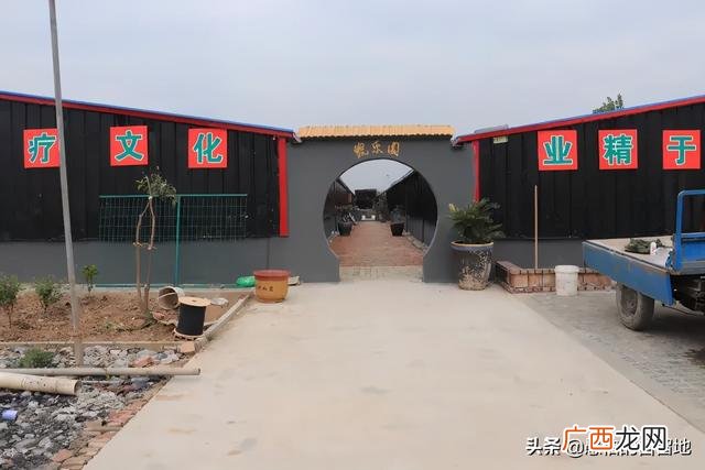 创业项目排行榜前十名 大学生创业致富项目