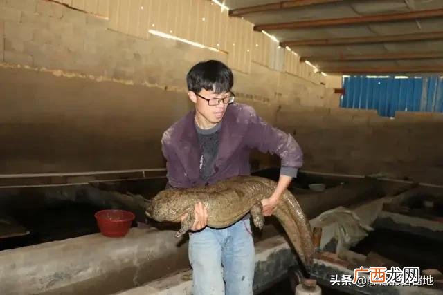 创业项目排行榜前十名 大学生创业致富项目