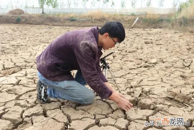 创业项目排行榜前十名 大学生创业致富项目