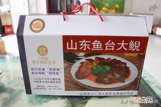 创业项目排行榜前十名 大学生创业致富项目