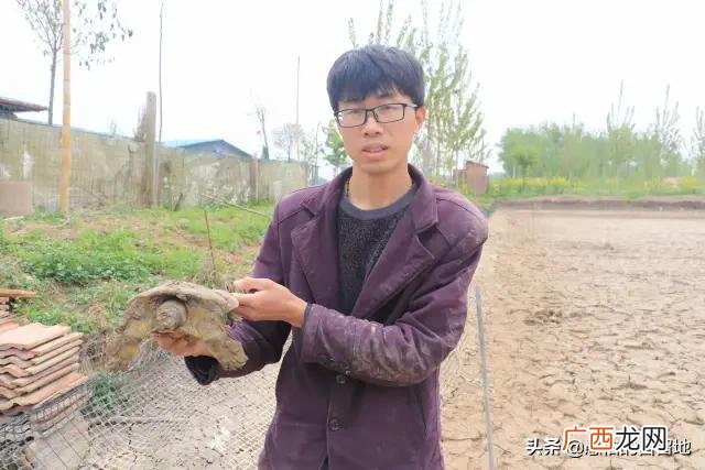 创业项目排行榜前十名 大学生创业致富项目