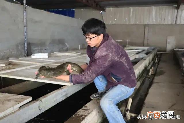 创业项目排行榜前十名 大学生创业致富项目