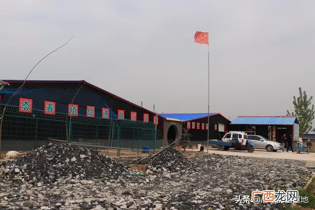 创业项目排行榜前十名 大学生创业致富项目