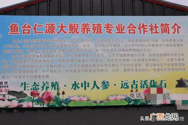 创业项目排行榜前十名 大学生创业致富项目