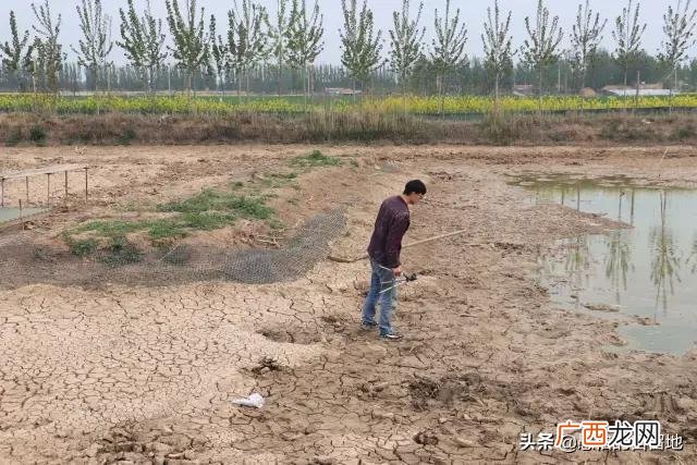 创业项目排行榜前十名 大学生创业致富项目