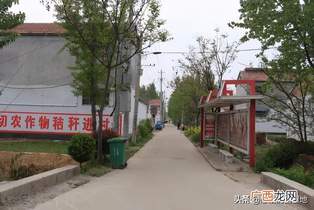 创业项目排行榜前十名 大学生创业致富项目