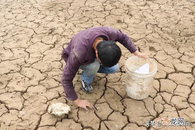 创业项目排行榜前十名 大学生创业致富项目