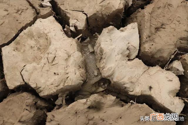 创业项目排行榜前十名 大学生创业致富项目