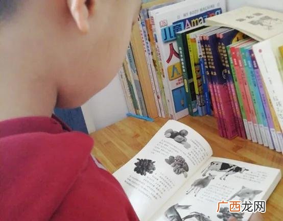 樊登小读者目录,樊登小读者怎么样