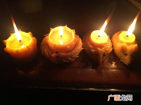 樊登小读者目录,樊登小读者怎么样