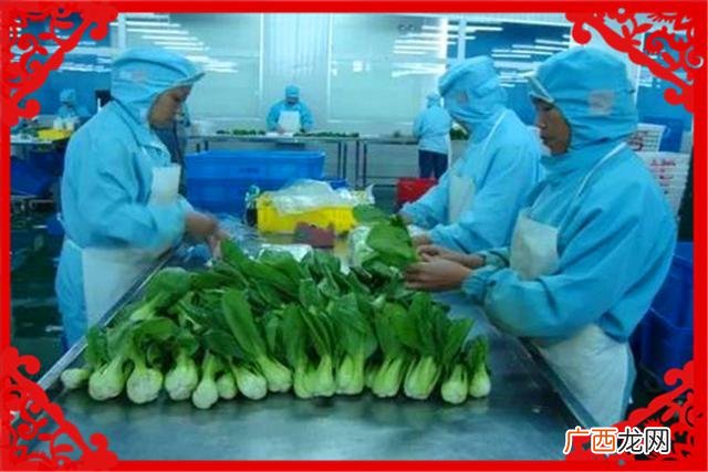 环保创业办厂项目推荐 环保创业项目如何选择