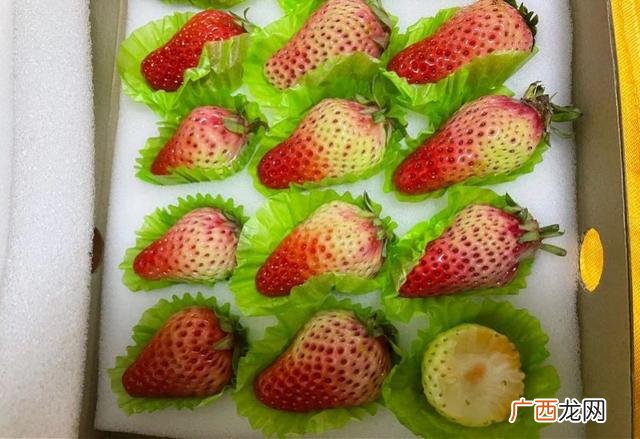 日用品清单明细表,什么是日用百货类商品