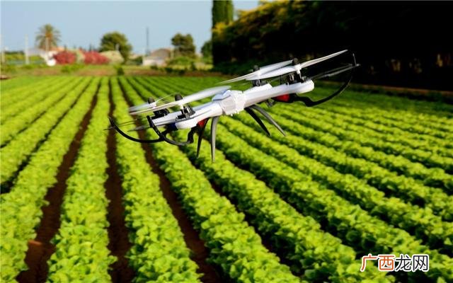 农村投资少的创业项目 农村自主创业网