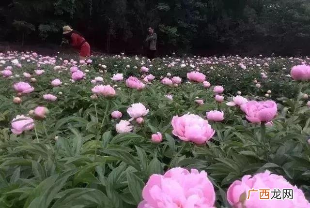 娱乐风洞玩一次多少钱,绵阳娱乐风洞
