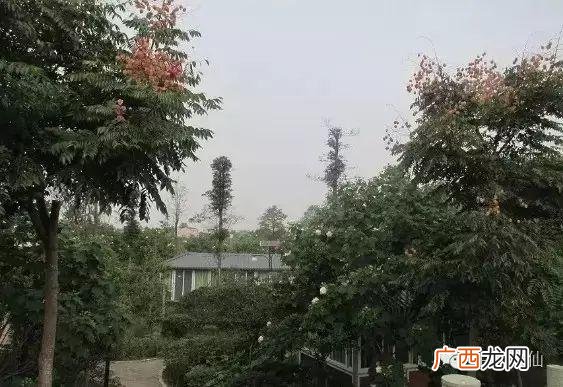 娱乐风洞玩一次多少钱,绵阳娱乐风洞