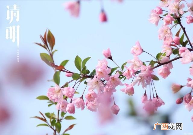 娱乐风洞玩一次多少钱,绵阳娱乐风洞