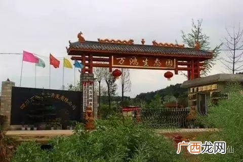 娱乐风洞玩一次多少钱,绵阳娱乐风洞