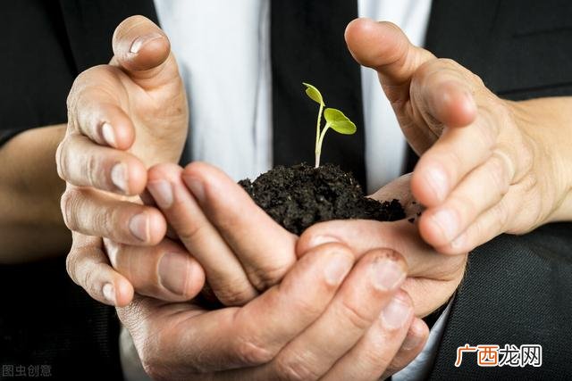 热门生意零成本的创业 鹤壁创业