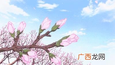 个人服装店的创业计划书 大学生花店创业计划书