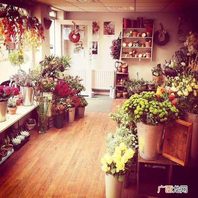 个人服装店的创业计划书 大学生花店创业计划书