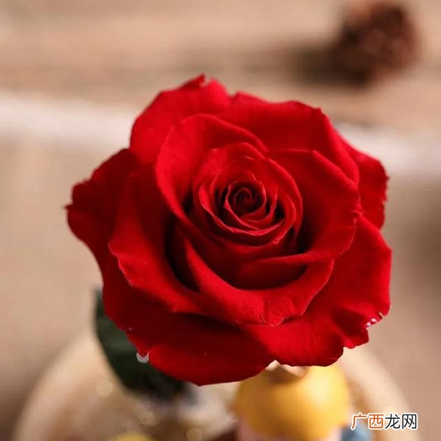 个人服装店的创业计划书 大学生花店创业计划书