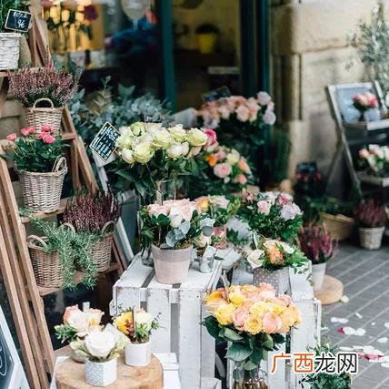 个人服装店的创业计划书 大学生花店创业计划书