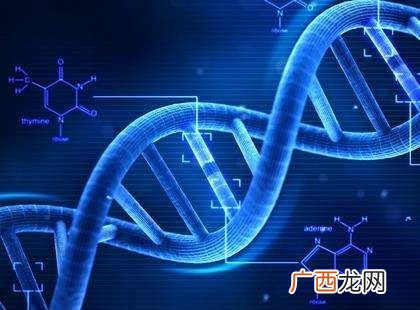 红旗渠天行健价格表和图片 天行健烟